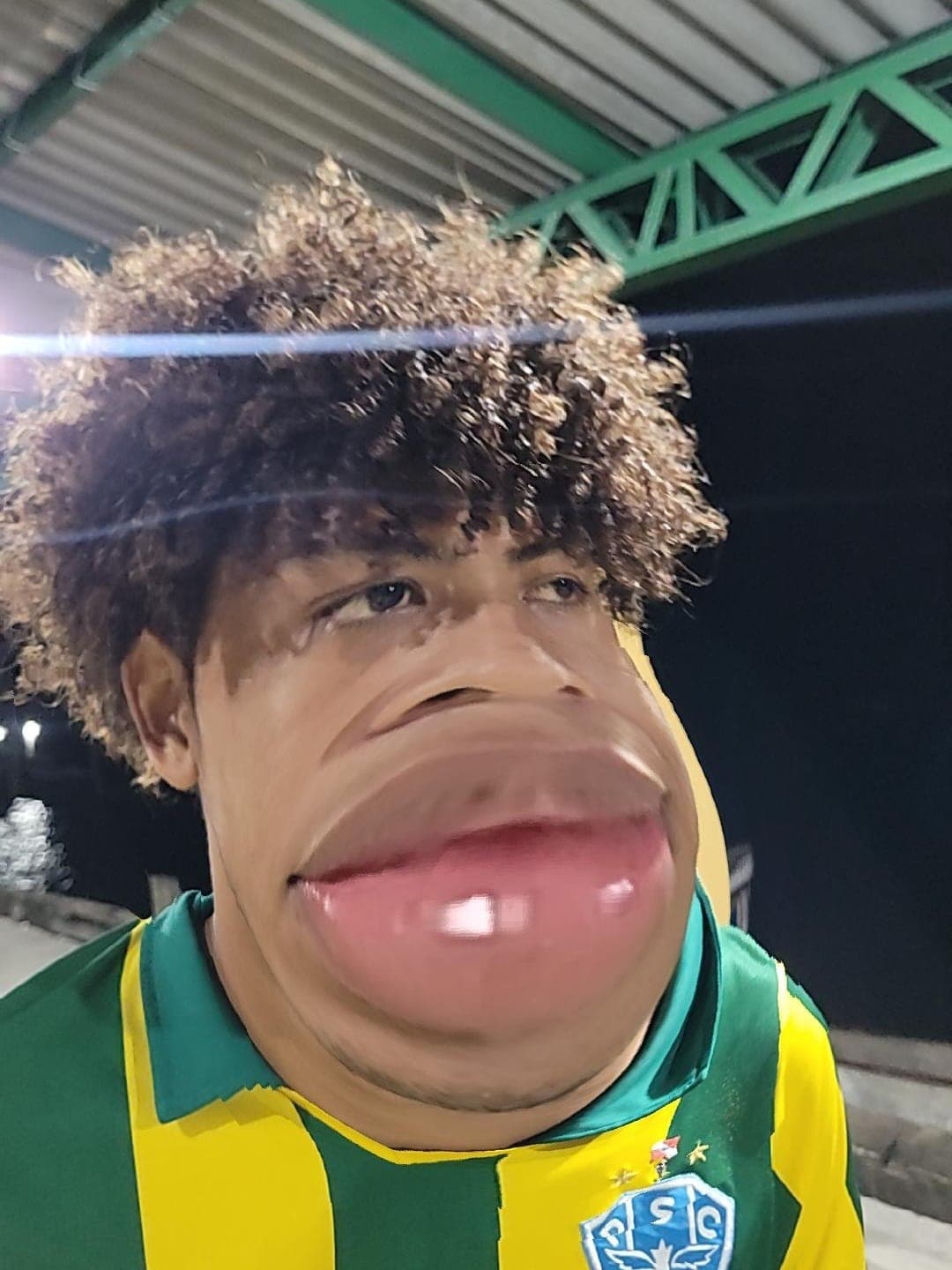 Ryan